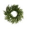 24" Norfolk Pine Wreath | Artificial Greenery Wreath for Holiday & Everyday Decor-XX9414